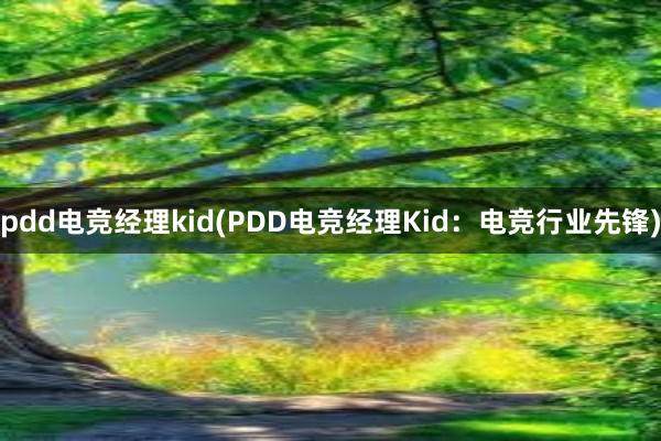 pdd电竞经理kid(PDD电竞经理Kid：电竞行业先锋)