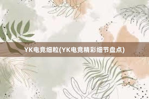 YK电竞细粒(YK电竞精彩细节盘点)