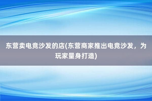 东营卖电竞沙发的店(东营商家推出电竞沙发，为玩家量身打造)