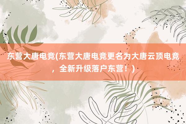 东营大唐电竞(东营大唐电竞更名为大唐云顶电竞，全新升级落户东营！)