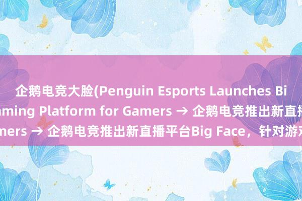 企鹅电竞大脸(Penguin Esports Launches Big Face， a New Streaming Platform for Gamers → 企鹅电竞推出新直播平台Big Face，针对游戏玩家)