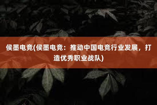 侯墨电竞(侯墨电竞：推动中国电竞行业发展，打造优秀职业战队)