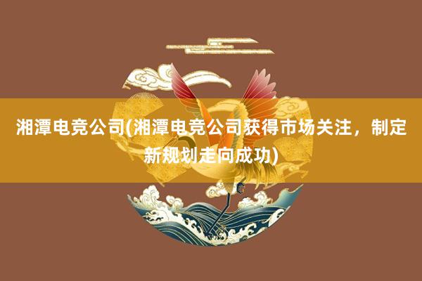 湘潭电竞公司(湘潭电竞公司获得市场关注，制定新规划走向成功)