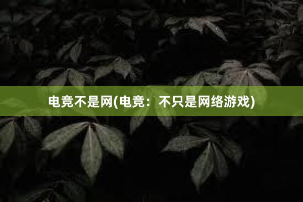 电竞不是网(电竞：不只是网络游戏)