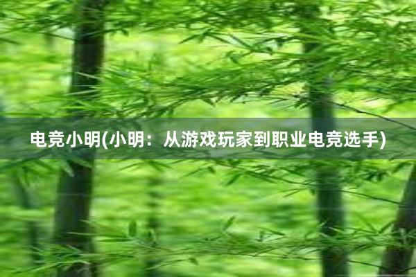 电竞小明(小明：从游戏玩家到职业电竞选手)