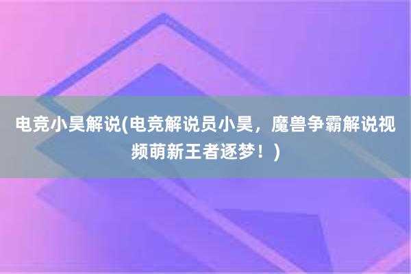 电竞小昊解说(电竞解说员小昊，魔兽争霸解说视频萌新王者逐梦！)