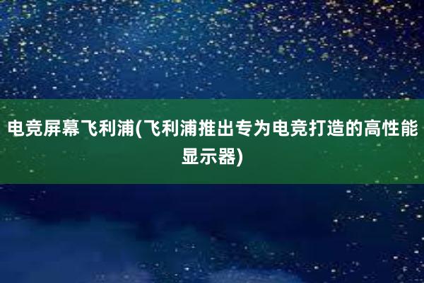 电竞屏幕飞利浦(飞利浦推出专为电竞打造的高性能显示器)