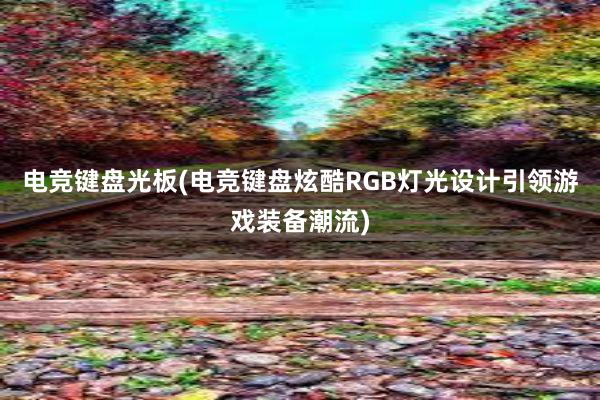 电竞键盘光板(电竞键盘炫酷RGB灯光设计引领游戏装备潮流)