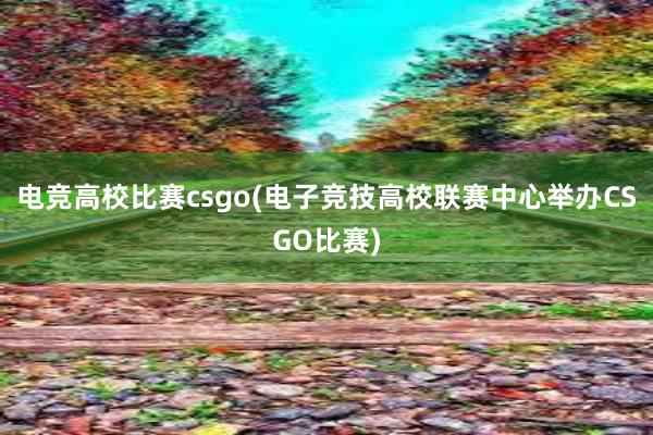 电竞高校比赛csgo(电子竞技高校联赛中心举办CSGO比赛)