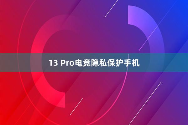 13 Pro电竞隐私保护手机