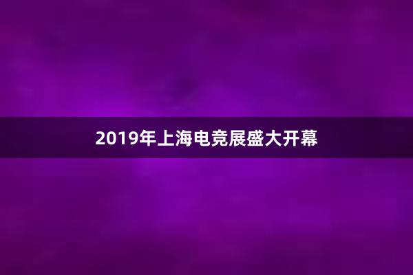 2019年上海电竞展盛大开幕