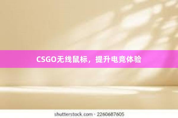 CSGO无线鼠标，提升电竞体验