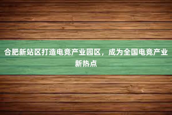 合肥新站区打造电竞产业园区，成为全国电竞产业新热点