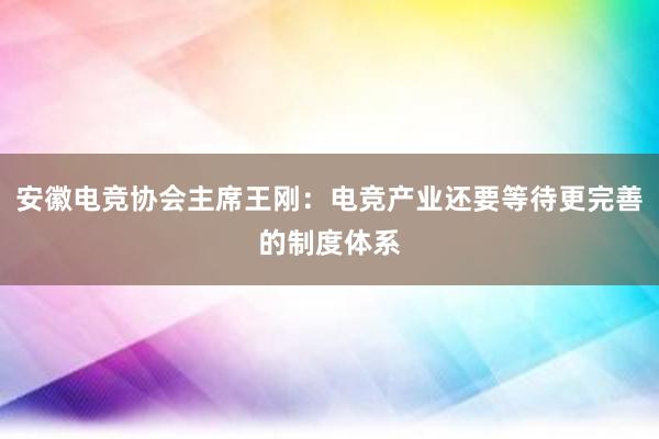 安徽电竞协会主席王刚：电竞产业还要等待更完善的制度体系