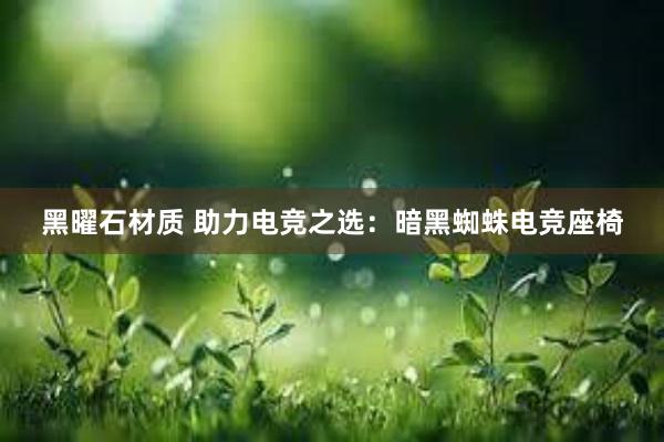 黑曜石材质 助力电竞之选：暗黑蜘蛛电竞座椅