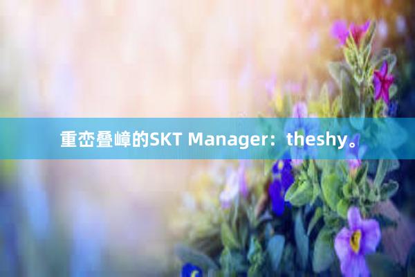 重峦叠嶂的SKT Manager：theshy。