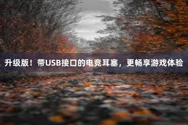 升级版！带USB接口的电竞耳塞，更畅享游戏体验