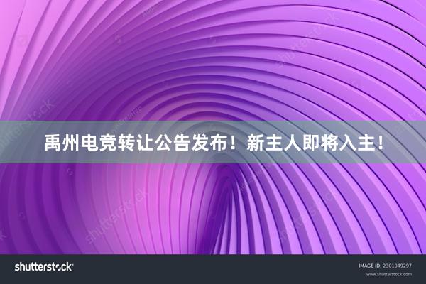 禹州电竞转让公告发布！新主人即将入主！