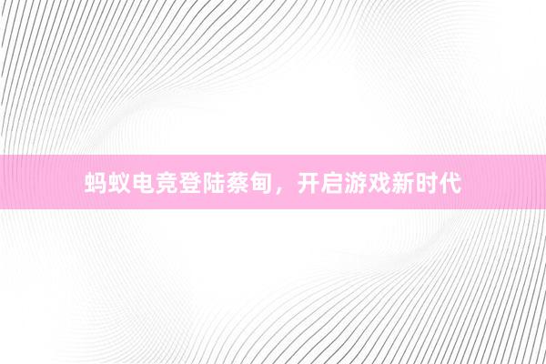 蚂蚁电竞登陆蔡甸，开启游戏新时代